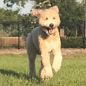 Meet your Posher, Marissa